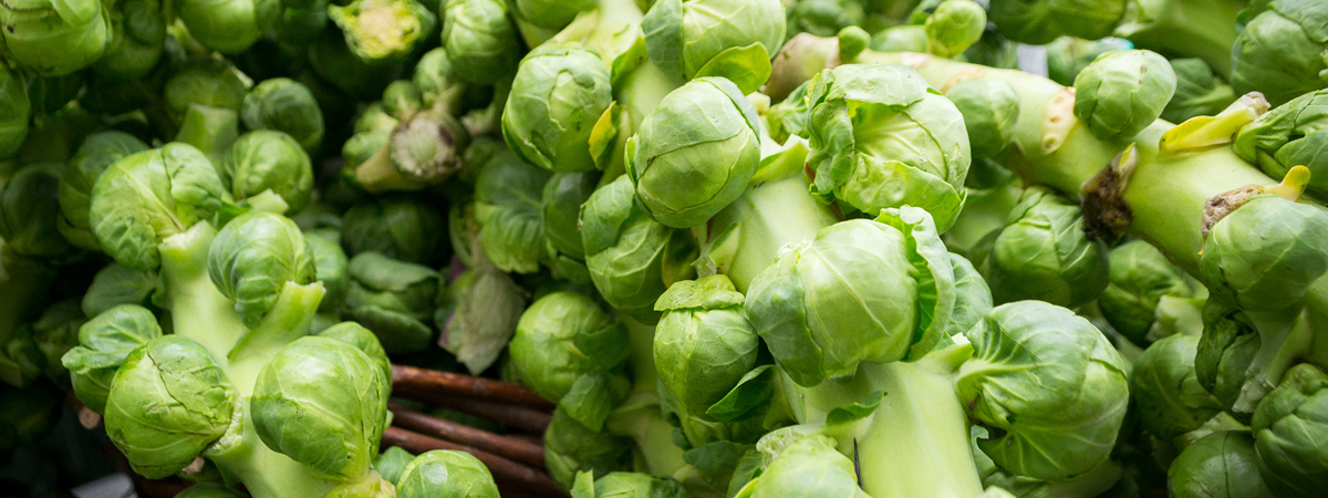 Brussel Sprouts